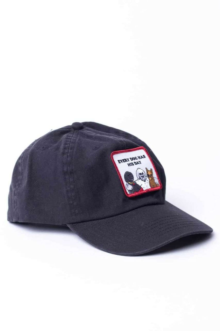 Accessories * | Special Offer Dog Pals Patch Snapback Hat