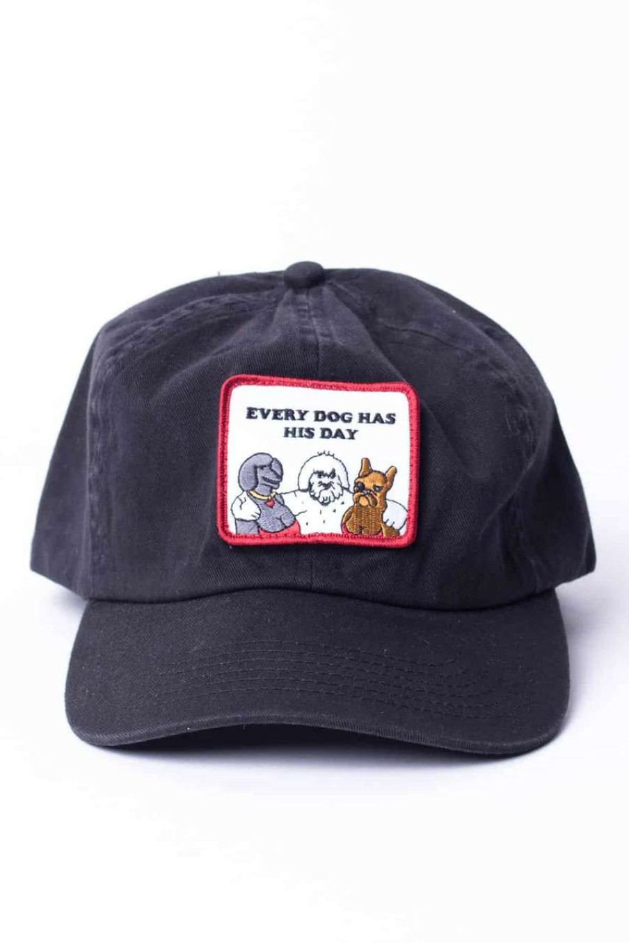 Accessories * | Special Offer Dog Pals Patch Snapback Hat